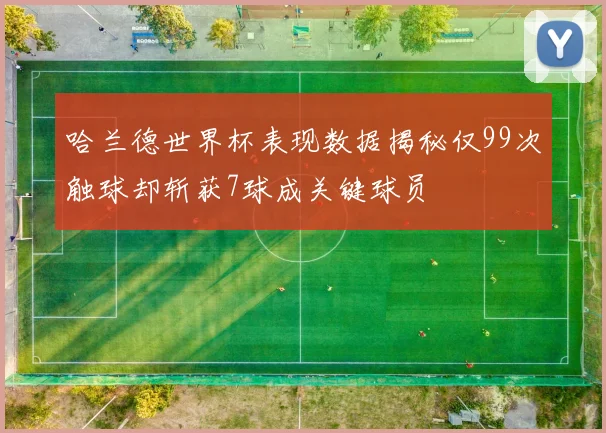 哈兰德世界杯表现数据揭秘仅99次触球却斩获7球成关键球员