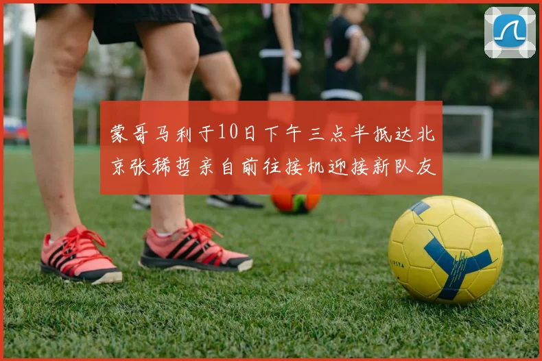 蒙哥马利于10日下午三点半抵达北京张稀哲亲自前往接机迎接新队友