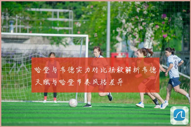 哈登与韦德实力对比杨毅解析韦德天赋与哈登节奏风格差异