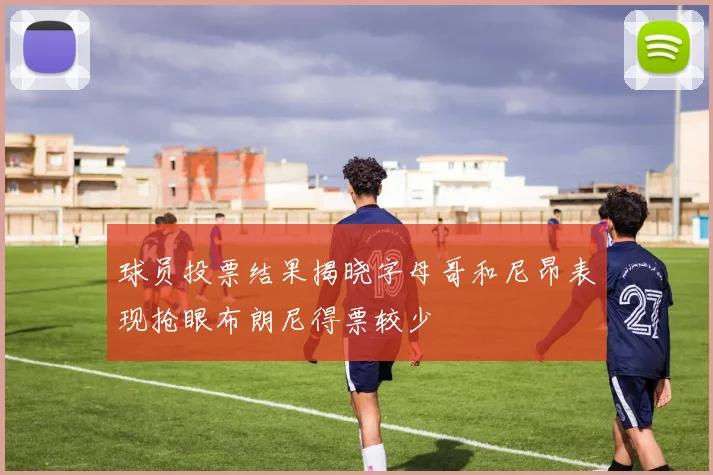 球员投票结果揭晓字母哥和尼昂表现抢眼布朗尼得票较少