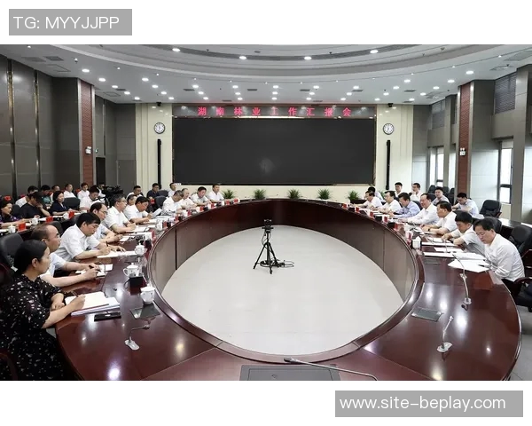 约基奇谈与申京竞争关系强调无复仇念头只求良性发展