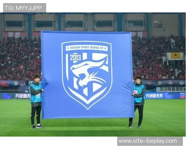 武汉三镇足球俱乐部就历史问题发布处罚公告及相关说明